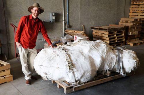 University of North Dakota new temporary home for Edmontosaurus; school expanding paleontology program